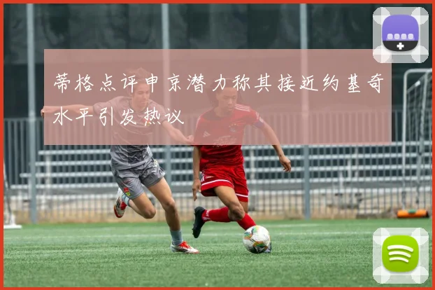 蒂格点评申京潜力称其接近约基奇水平引发热议