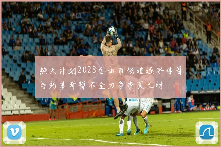 热火计划2028自由市场追逐字母哥与约基奇暂不全力争夺莫兰特