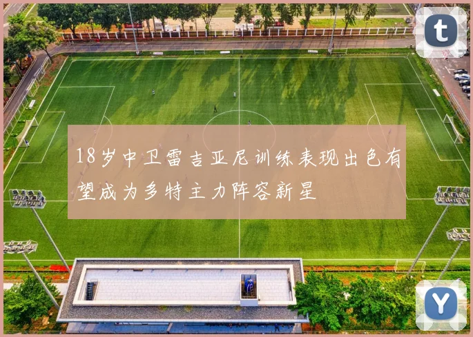 18岁中卫雷吉亚尼训练表现出色有望成为多特主力阵容新星
