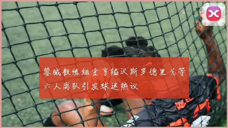 蓉城教练组金亨镒汉斯罗德里戈等六人离队引发球迷热议