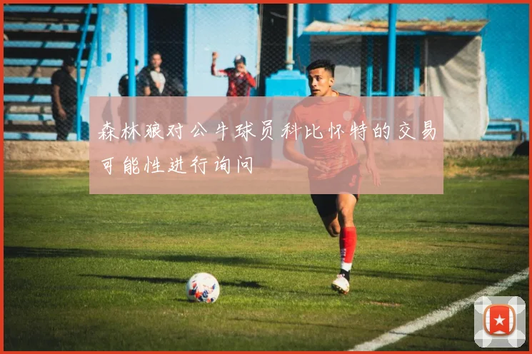森林狼对公牛球员科比怀特的交易可能性进行询问